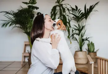 Hund kuschelt mit Frauchen