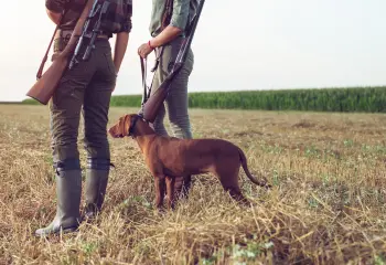 Schaden melden - Jäger mit Jagdwaffe und Jagdhund