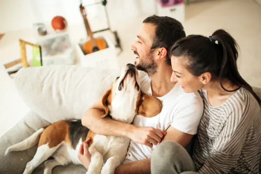 Junges Pärchen sitzt mit Hund auf Sofa