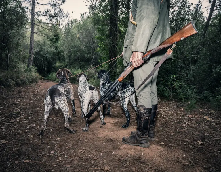 Jäger mit Jagdhunden und Jagdwaffe