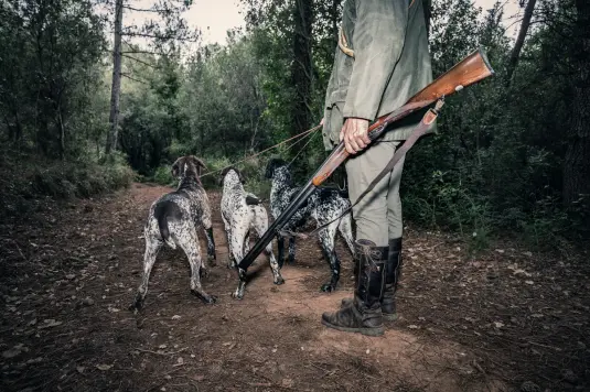 Jäger mit Jagdwaffe und Jagdhunden im Wald auf Jagd